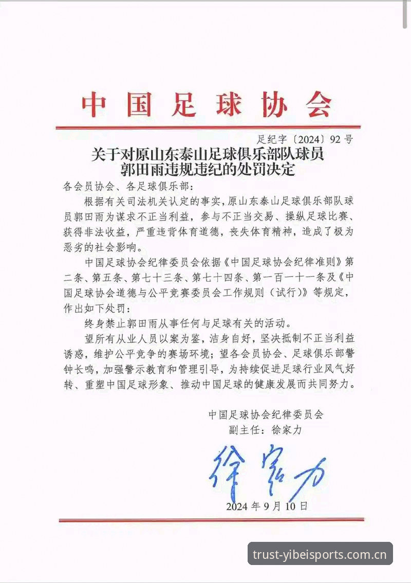中国足协第三批禁足名单全面解析：17人终身禁赛、48人受罚背后的行业震荡